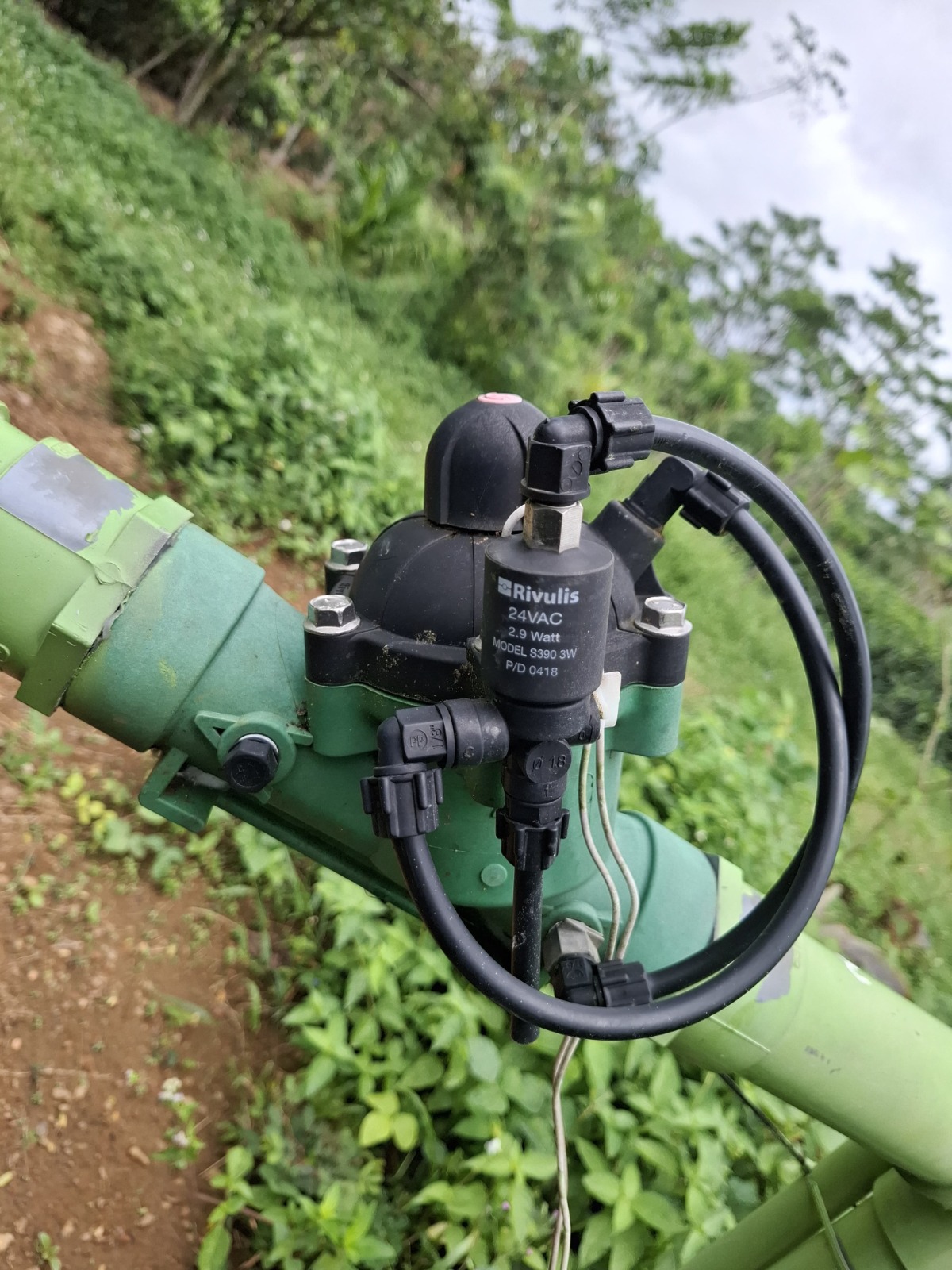 Field visit at tea estate 3